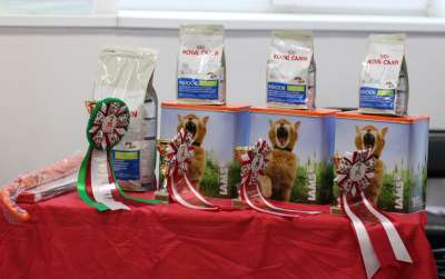 �������� ����� '������� ���-�����' 30 ������-1 ������� 2013., ������������ ���